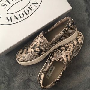 Steve Madden GILLS Snake Print